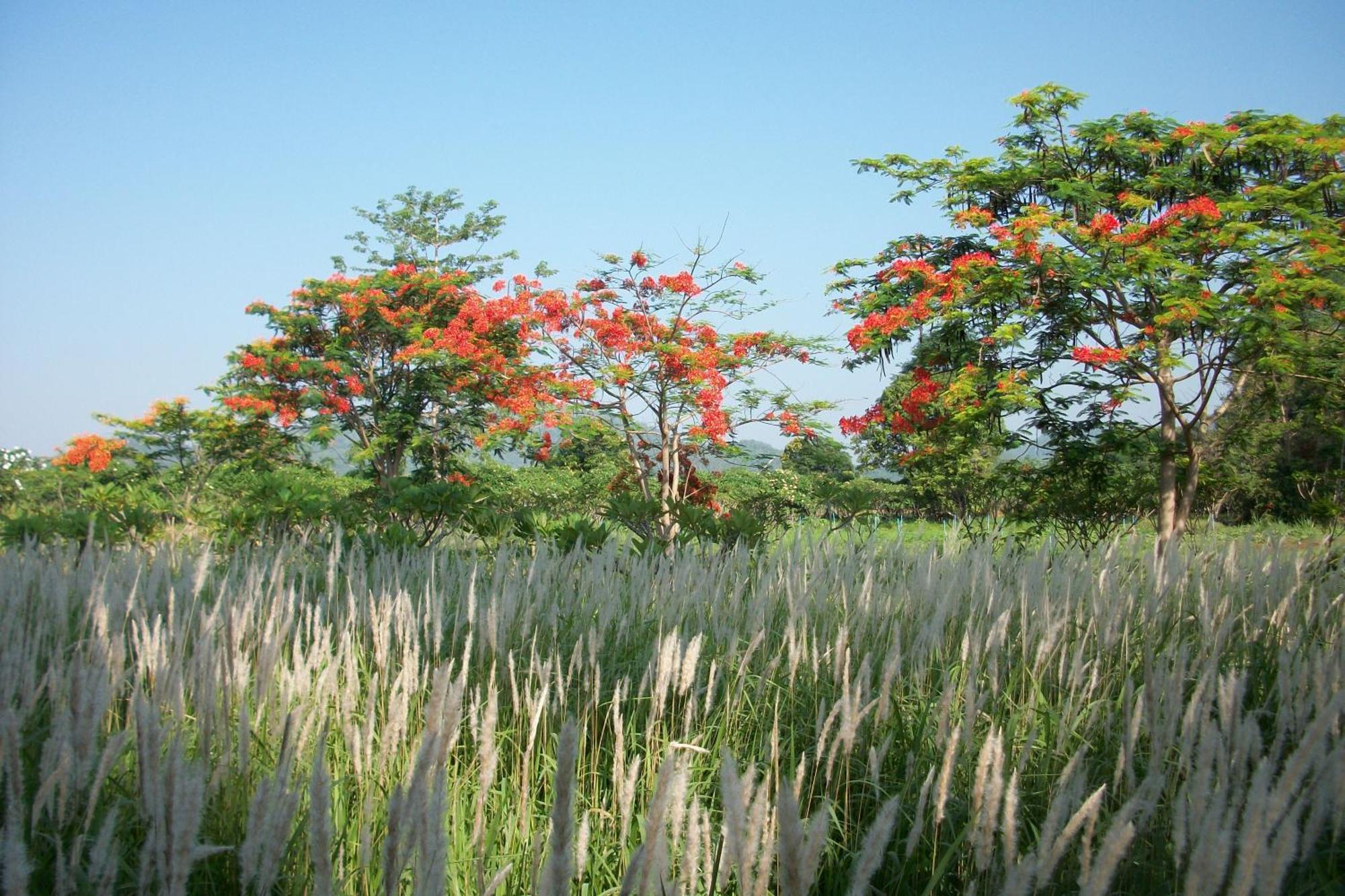 里拉瓦莱度假村 Nong Nam Daeng 外观 照片