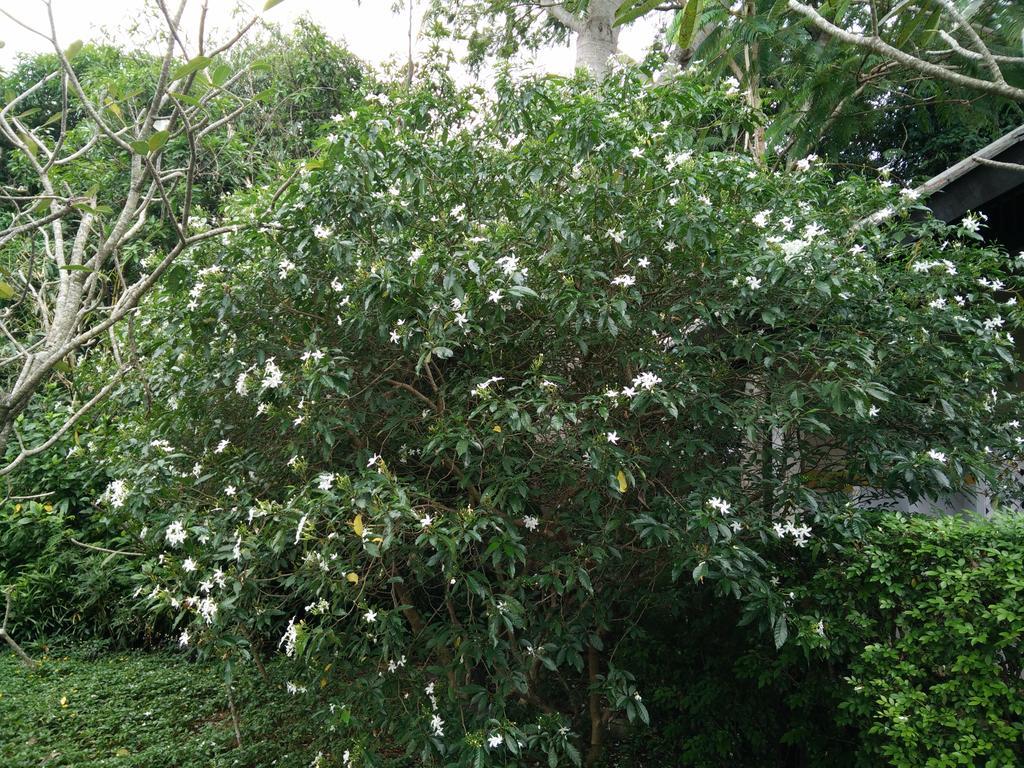 里拉瓦莱度假村 Nong Nam Daeng 外观 照片