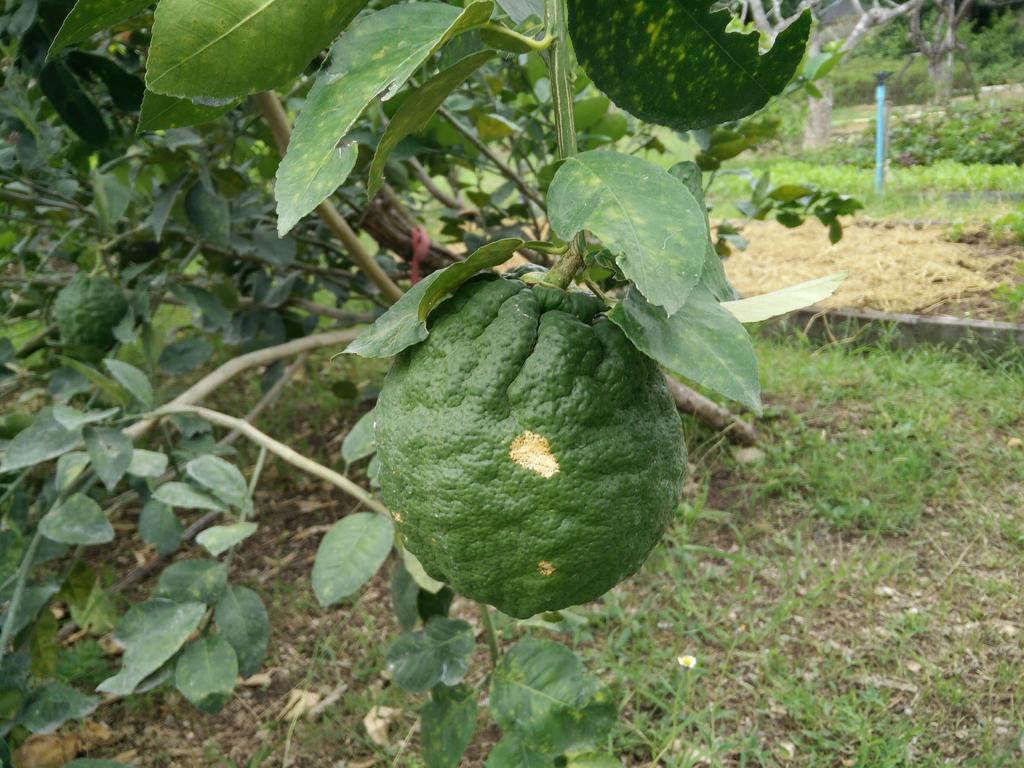 里拉瓦莱度假村 Nong Nam Daeng 外观 照片
