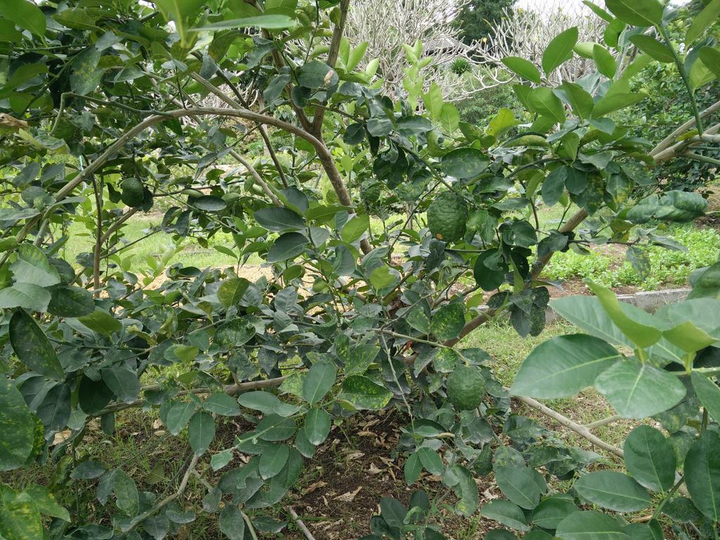 里拉瓦莱度假村 Nong Nam Daeng 外观 照片
