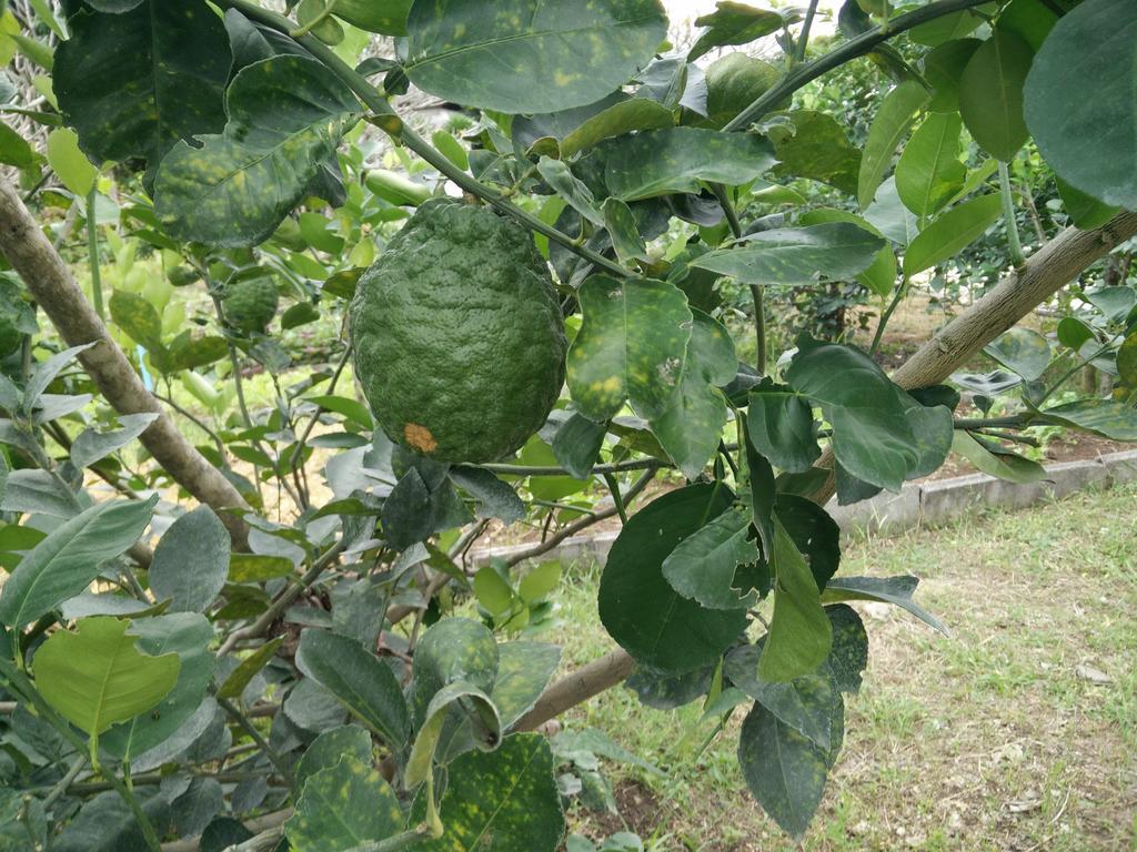 里拉瓦莱度假村 Nong Nam Daeng 外观 照片