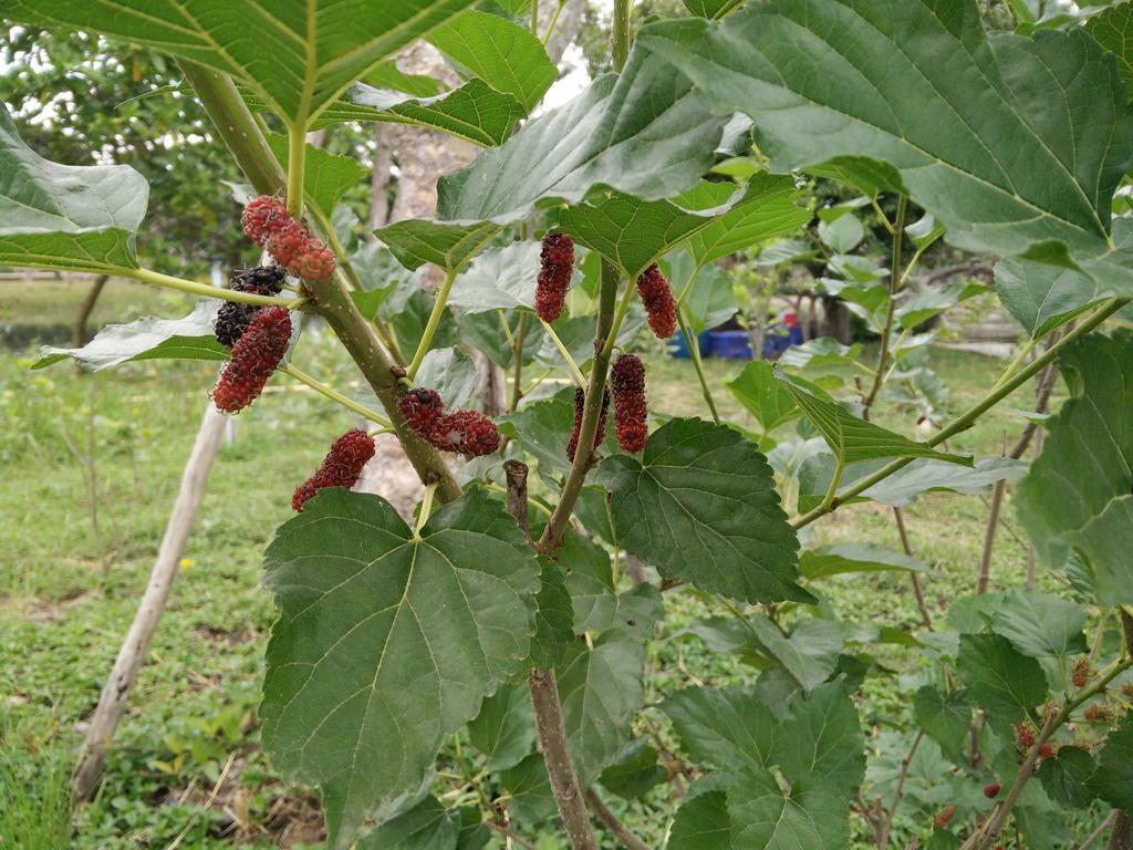 里拉瓦莱度假村 Nong Nam Daeng 外观 照片