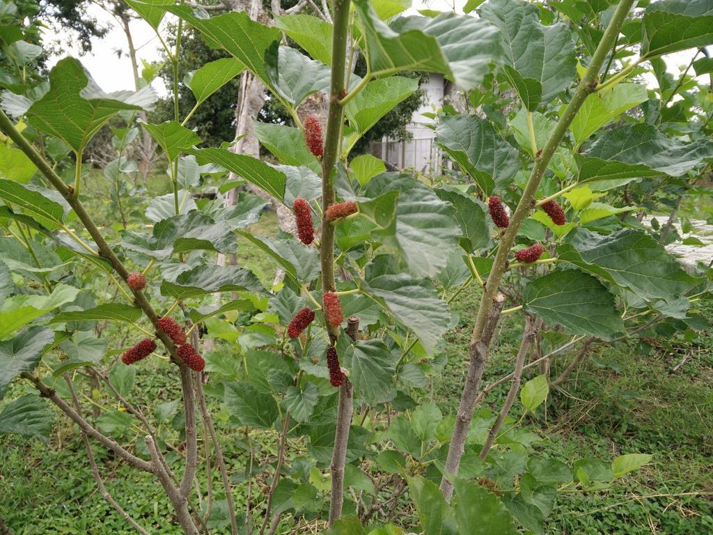 里拉瓦莱度假村 Nong Nam Daeng 外观 照片