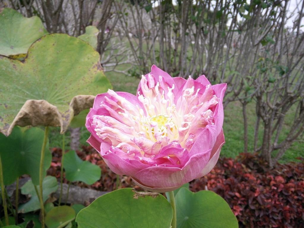 里拉瓦莱度假村 Nong Nam Daeng 外观 照片